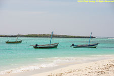 boats